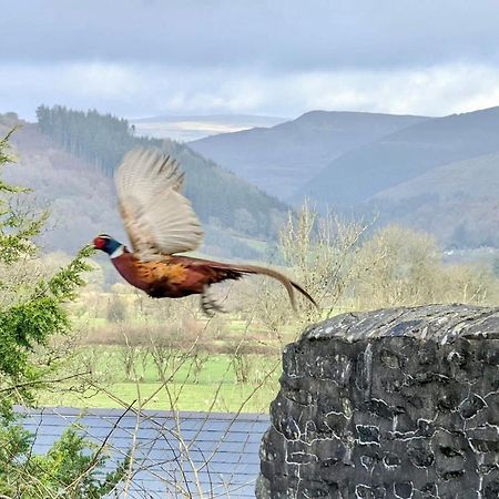 Aberhiriath Hall - The Old Georgian Manor House By The River Dyfi Cemmaes ภายนอก รูปภาพ