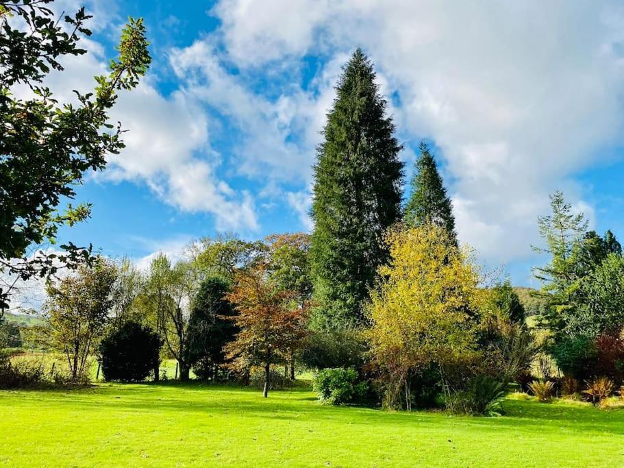Aberhiriath Hall - The Old Georgian Manor House By The River Dyfi Cemmaes ภายนอก รูปภาพ