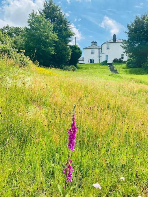 Aberhiriath Hall - The Old Georgian Manor House By The River Dyfi Cemmaes ภายนอก รูปภาพ