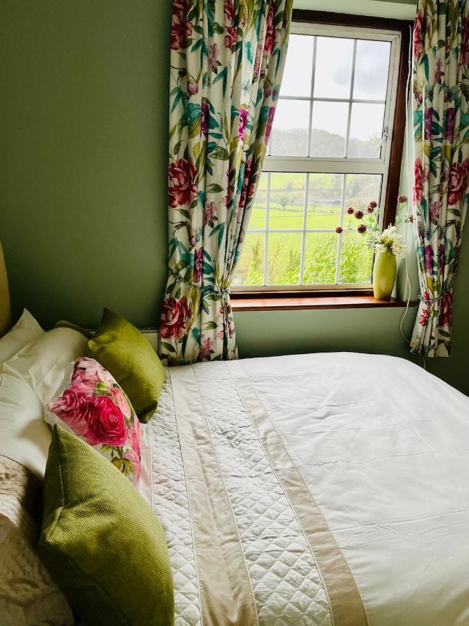 Aberhiriath Hall - The Old Georgian Manor House By The River Dyfi Cemmaes ภายนอก รูปภาพ